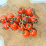 divoke paradajky pestovanie a skusenosti